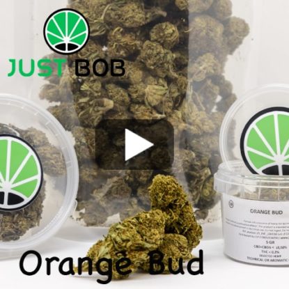 video-orange-bud video orange bud