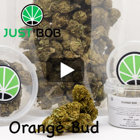 video-orange-bud