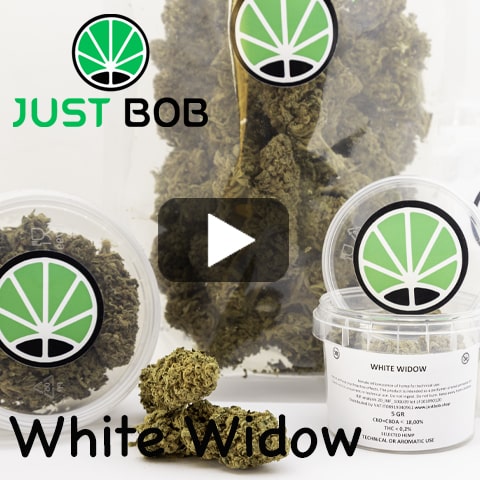 white widow video
