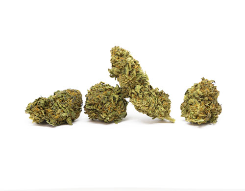 fleurs de cannabis CBD
