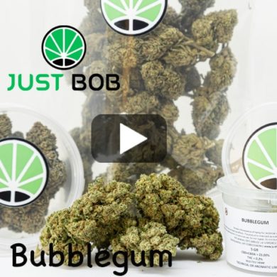 bubblegum-video-deutschland