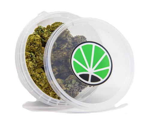 lemon cheese cannabis light