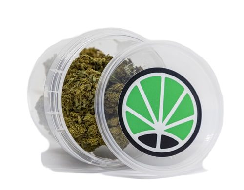 Krug von Lemon Cheese Blüten cbd Deutschland