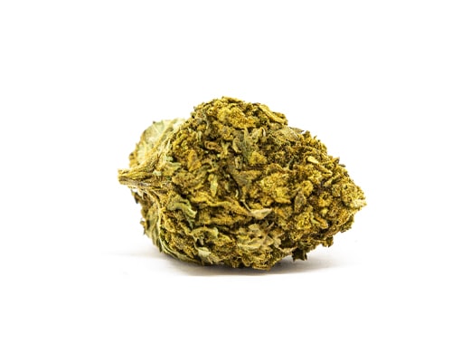 cima lemon cheese cannabis legale