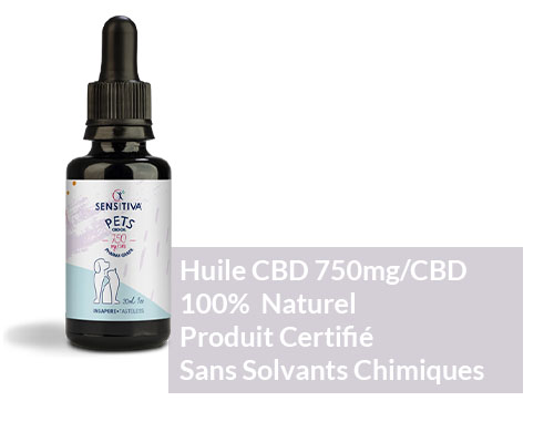 cannabis cbd huile 2.5