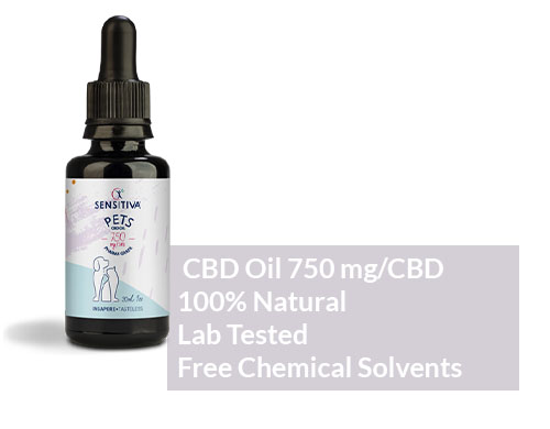 cannabis-cbd-oil-2.5