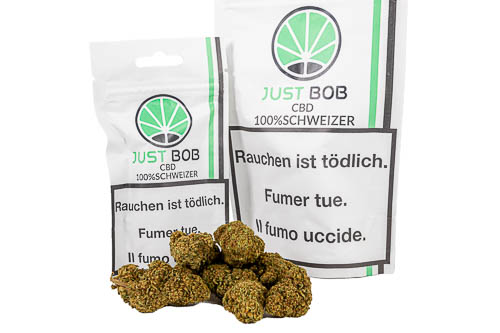 Knospe von Purple GG Cannabis CBD