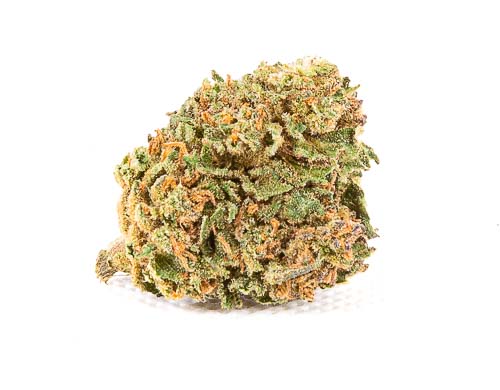 Orange Bud fleur de CBD pas cher