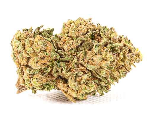 Canabis legal California Haze