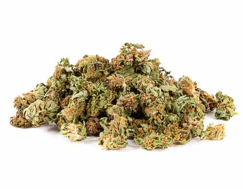 CBD weed Outdoor Mix of light hemp