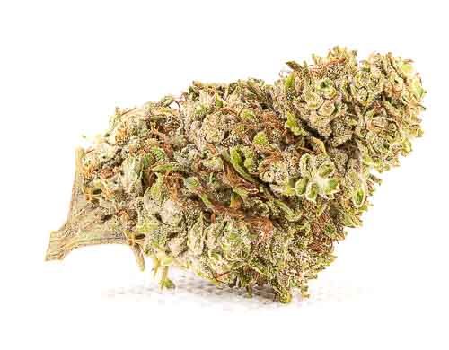 Zkittles cbg Blüte von Cannabis CBD gras