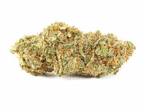 Knospe von cbd blüten der Qualität Bubblegum