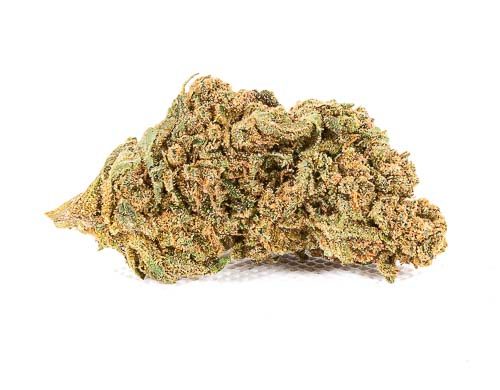 Cbd gras der Do si dos Art