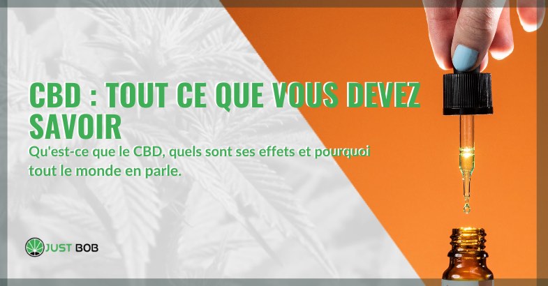 qu'est ce que la CDB