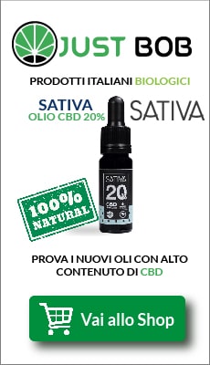 Banner olio sativa Ita