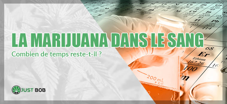 marijuana dans sang