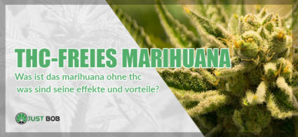 Was ist das Marihuana ohne thc was sind seine effekte und vorteile?