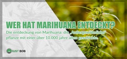Wer hat Marihuana entdeckt?