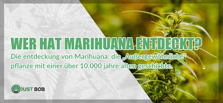 Wer hat Marihuana entdeckt?