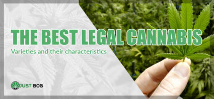 best legal cannabis