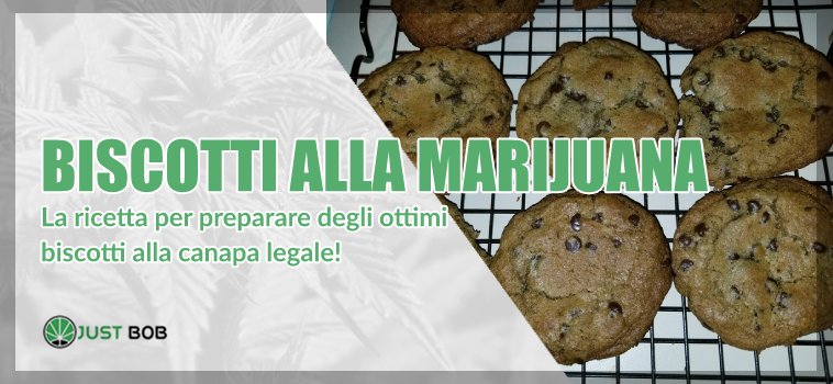 Biscotti alla marijuana: la ricetta per preparare degli ottimi biscotti alla canapa legale!