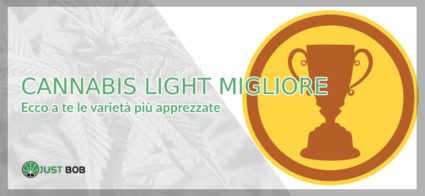 cannabis light migliore 1