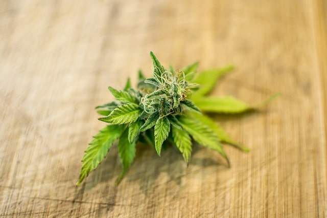 Cannabis CBD legal online