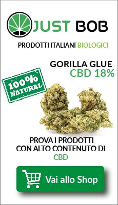 banner cannabis light Gorilla Glue