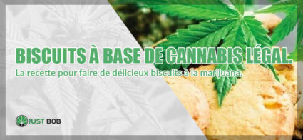 Biscuits à base de cannabis légal