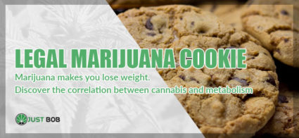 Legal-Marijuana-Cookie Marijuana makes you lose wieght. Discover the correlation between cannabis and metabolism