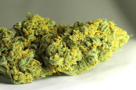 Lemon Haze Legale