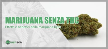 Effetti e benefici della marijuana light