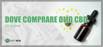 Dove comprare olio cbd di qualità