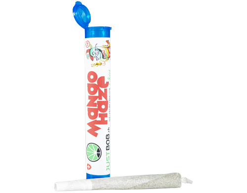 pre rollati con confezione di erba legale Mango Haze