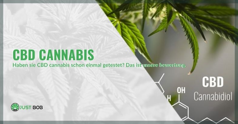 CBD Cannabis: unsere Bewertung