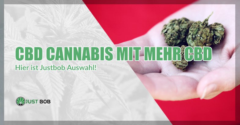 Hier ist Justbob Auswahl!