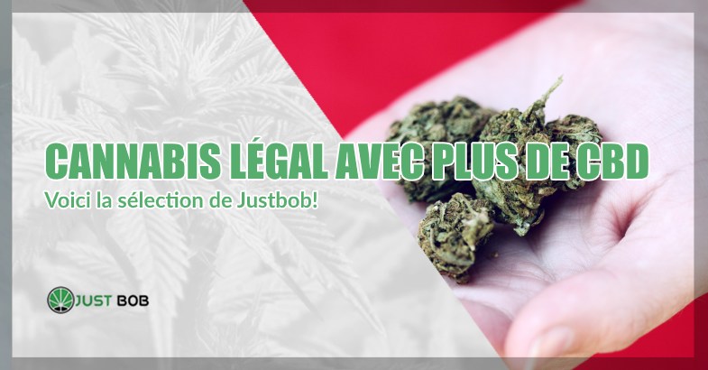 Voici la sélection de Justbob avec plus de cbd