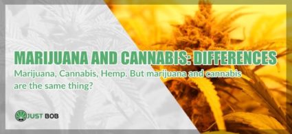 Differences between marijuana and cannabis