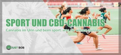Cannabis im Urin und beim sport: was sie wissen müssen