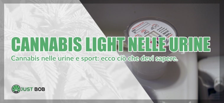 CANNABIS NELLE URINE E SPORT: ECCO CIÒ CHE DEVI SAPERE.