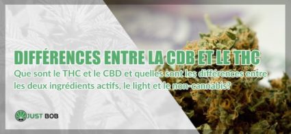 THC et CBD: différences