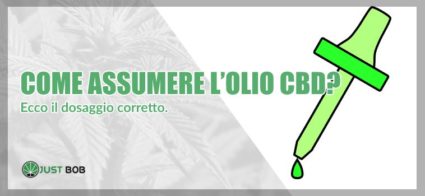 Come-assumere-olio-cbd Vuoi sapere come assumere l'olio CBD? Ecco il dosaggio corretto