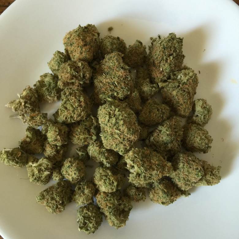 Cannabis: caratteristiche generali