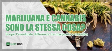 Scopri differenze tra marijuana e cannabis