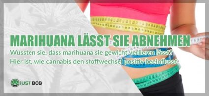 Cannabis CBD lässt sie Abnehmen