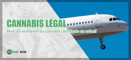 CBD Cannabis: peut-on emmener du cannabis cbd légale en avion?