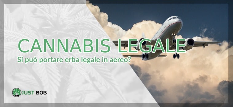 Cannabis legale in aereo? Si può?