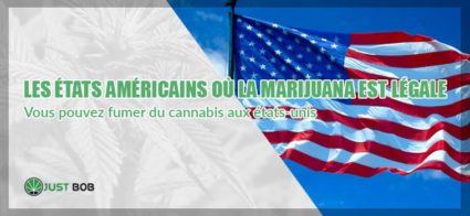 Les ètats americains où la marijuana est légale