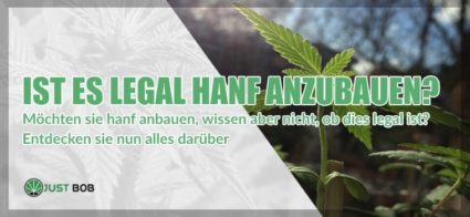 Ist es legal Hanf anzubauen?