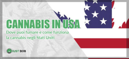 Dove puoi fumare e come funziona la cannabis negli Stati Uniti